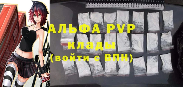 СК Алзамай