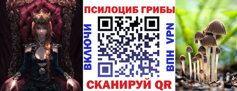Псилоцибиновые грибы Magic Shrooms  Ардатов 